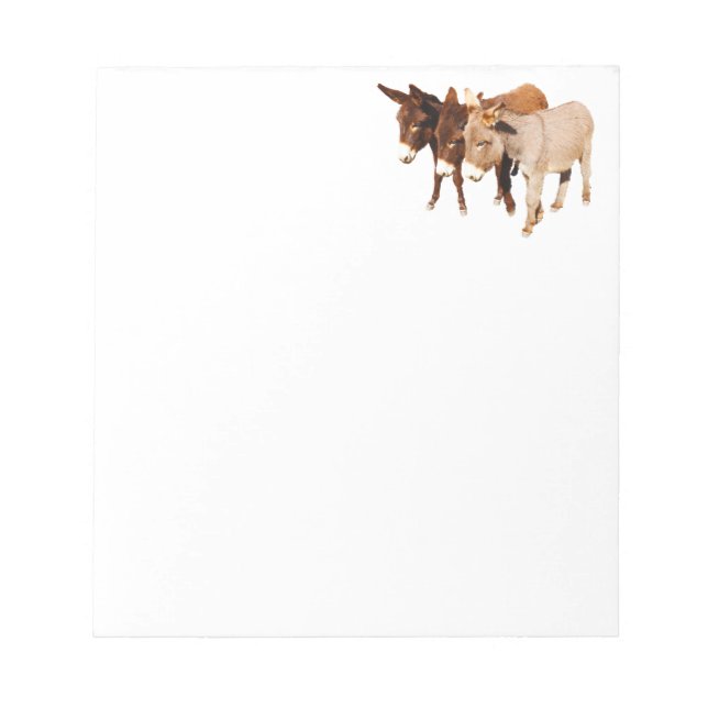 Wild Burro Buddies Notepad (Front)