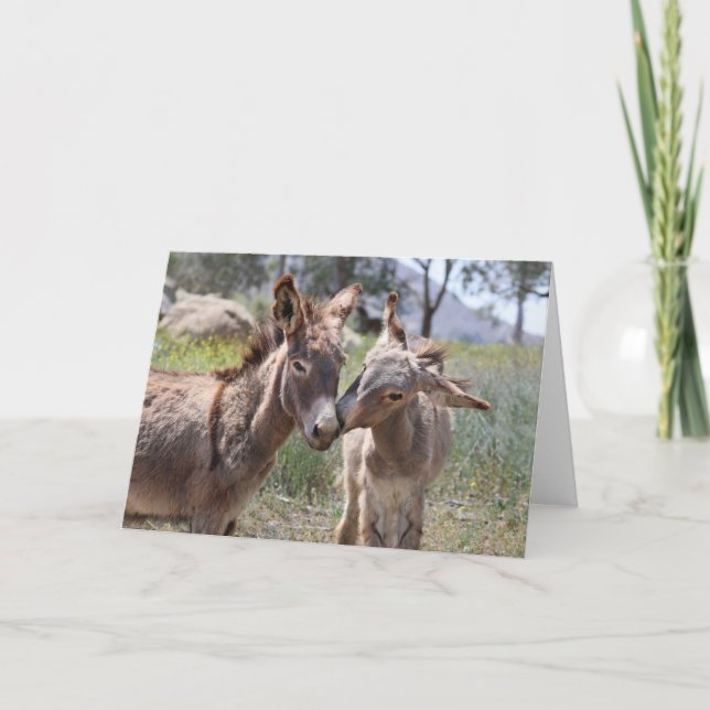 Wild Burros Greeting Card (Front)