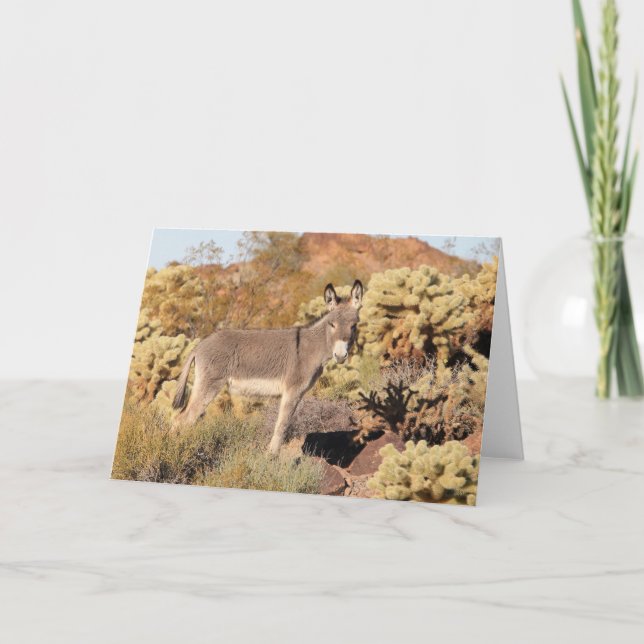 Wild Burros Greeting Card (Front)
