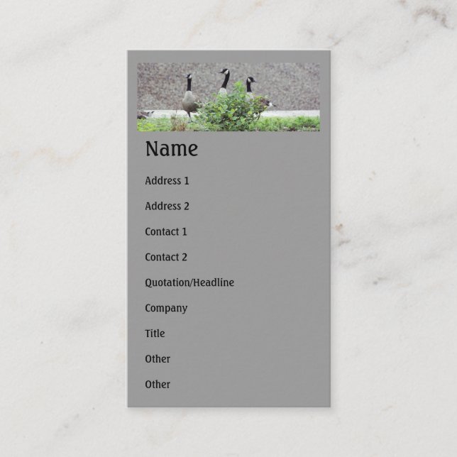Wild Canada Geese Animal Business Card (Front)