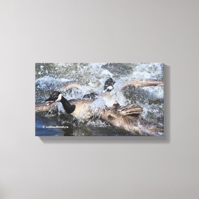 Wild (Canada) Goose Chase: The Spat at Piper Spit Canvas Print (Front)