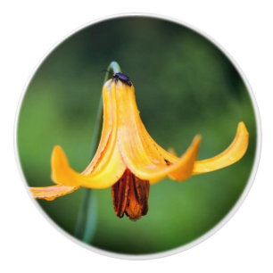 Wild Canada Lily With Insect Ceramic Knob