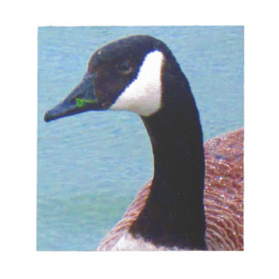 Wild Canadian Goose Notepad