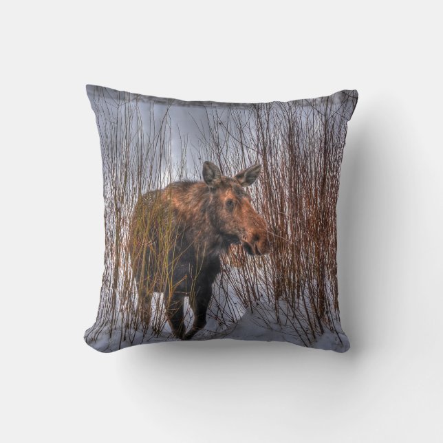 Wild Canadian Moose Cow in Winter Snow Throw Pillow (Front)