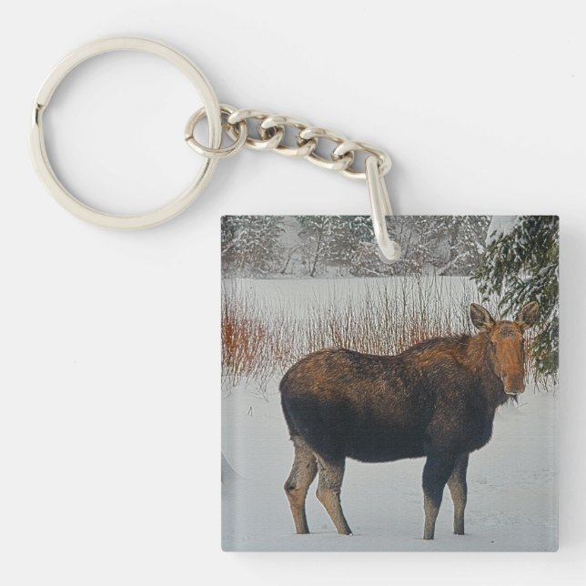 Wild Canadian Moose in Winter Snow IV Keychain (Front)