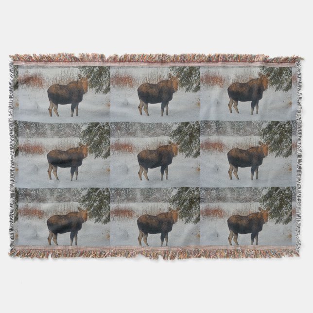 Wild Canadian Moose in Winter Snow IV Throw Blanket (Front)
