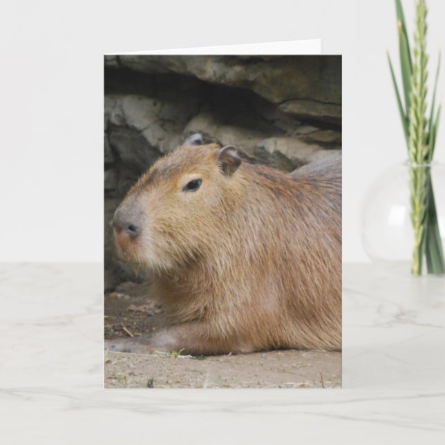 Wild Capybara Greeting Card (Front)