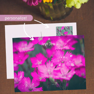 Wild carnations holiday postcard