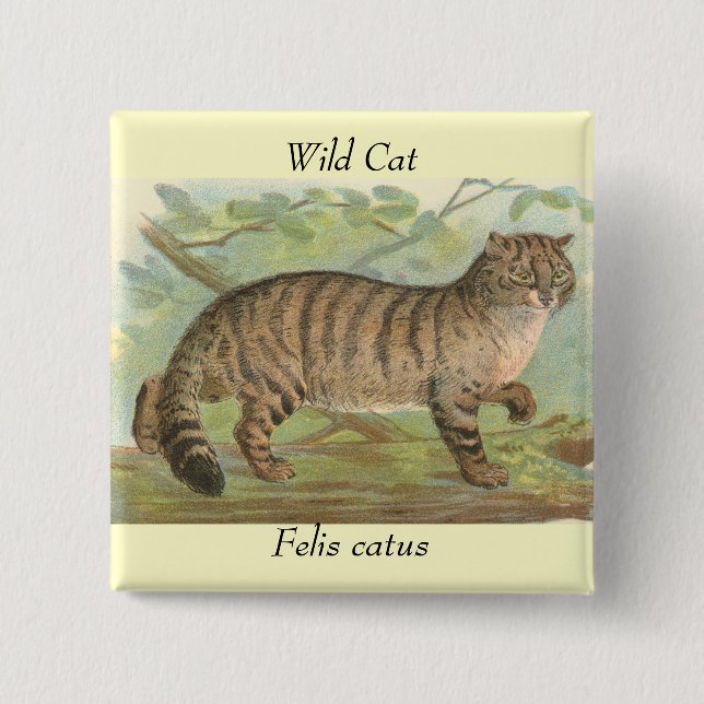 Wild Cat 2 Inch Square Button (Front)