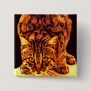 WILD CAT KITTEN 2 INCH SQUARE BUTTON