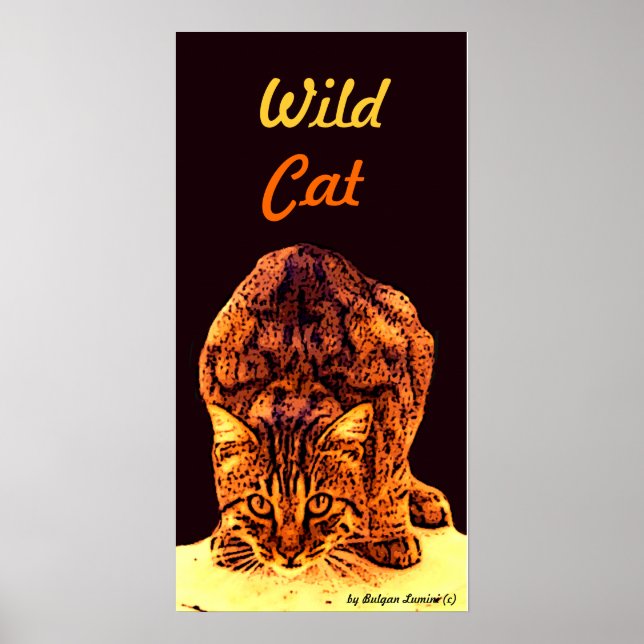 WILD CAT KITTEN POSTER (Front)
