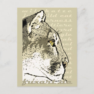 WILD CAT POSTCARD