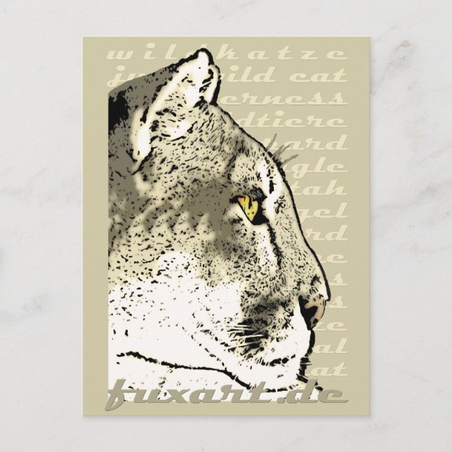 WILD CAT POSTCARD (Front)