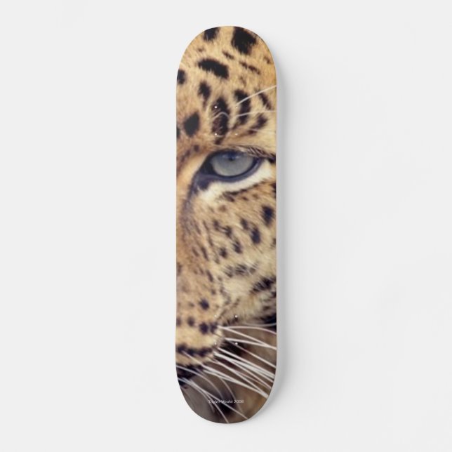 Wild Cat Skateboard (Front)