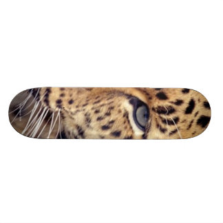 Wild Cat Skateboard