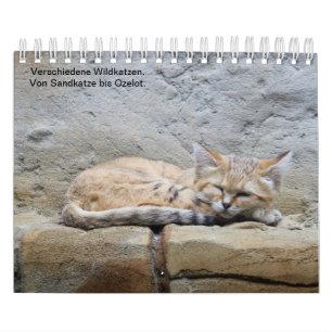 wild cats. calendar