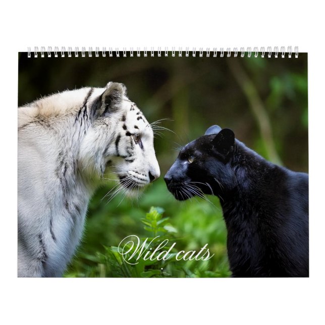 Wild cats calendar (Cover)