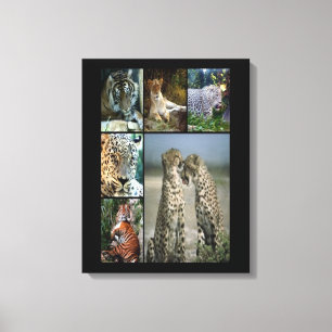 Wild cats collage Wrapped Canvas