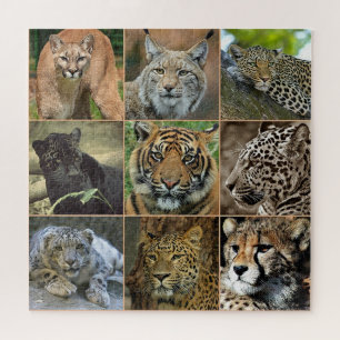 Wild Cats Photo Puzzle