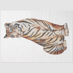 Wild Cats Series Design 4 Tissue Paper
