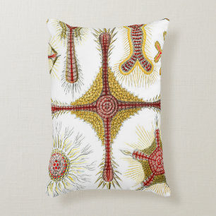 Wild Chamomile by Ernst Haeckel, Vintage Nature Accent Pillow