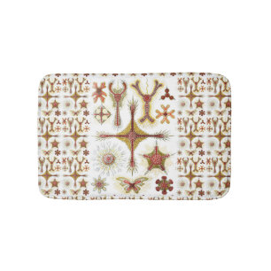 Wild Chamomile by Ernst Haeckel, Vintage Nature Bath Mat