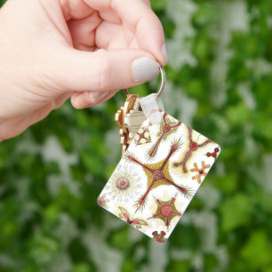 Wild Chamomile by Ernst Haeckel, Vintage Nature Keychain