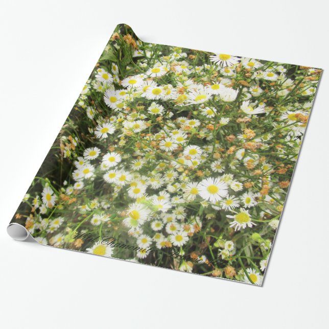 Wild Chamomile - Prairie Mile - giftwrap Wrapping Paper (Unrolled)