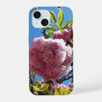 Wild Cherry pink Blossom Tree
