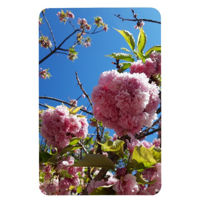 Wild Cherry pink Blossom Tree Magnet (Vertical)