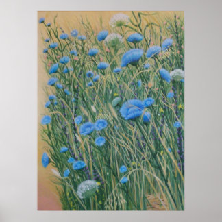 Wild Chicory and Weeds Poster
