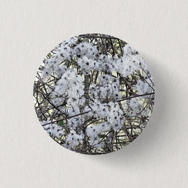 WILD CLEMATIS   1 INCH ROUND BUTTON (Front)