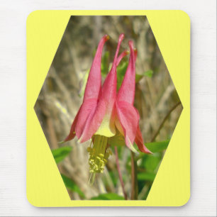 Wild Columbine Mousepad