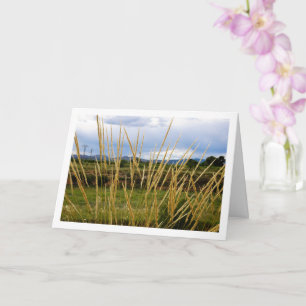 Wild Country Grass Landscape Card