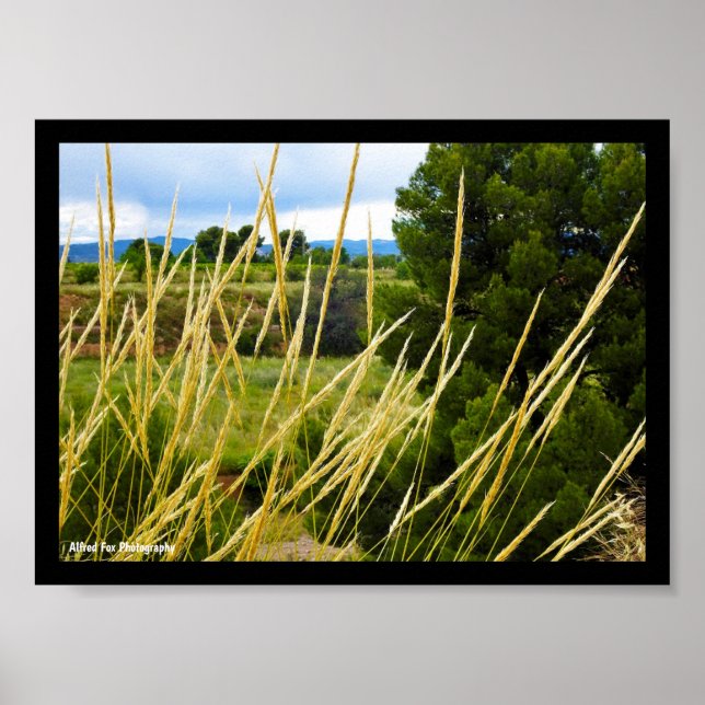 Wild Country Grass Poster (Front)