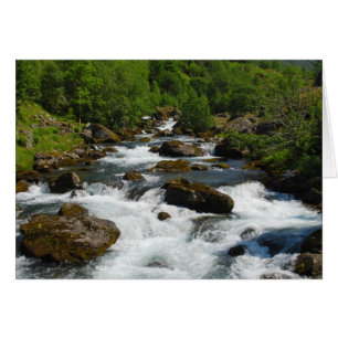 Wild Creek Card