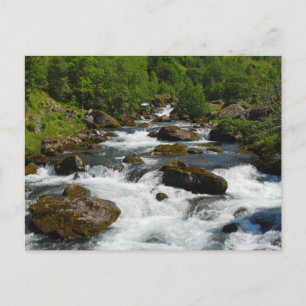 Wild Creek Postcard