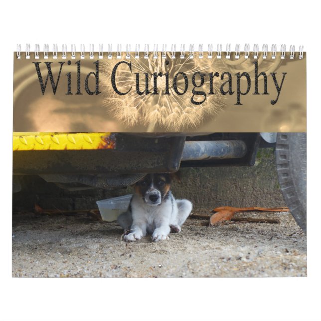 Wild Curiography Dog Calendar (Cover)