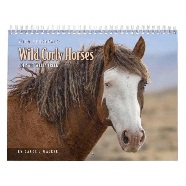 Wild Curly Horses of Salt Wells Creek Calendar (Cover)