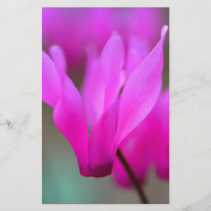Wild Cyclamen Macro Stationery