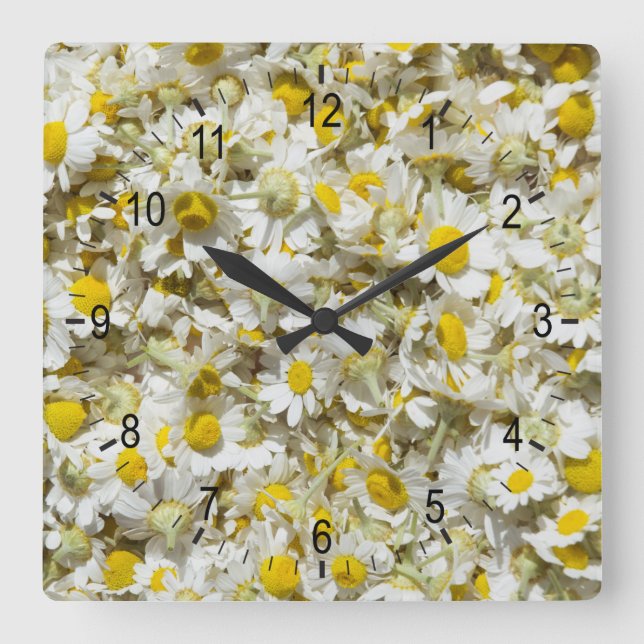 Wild daisies pattern square wall clock (Front)