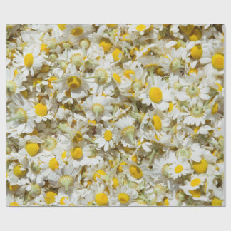 Wild daisies pattern wrapping paper