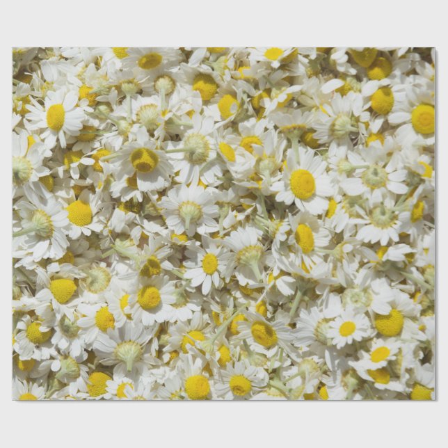 Wild daisies pattern wrapping paper (Flat)