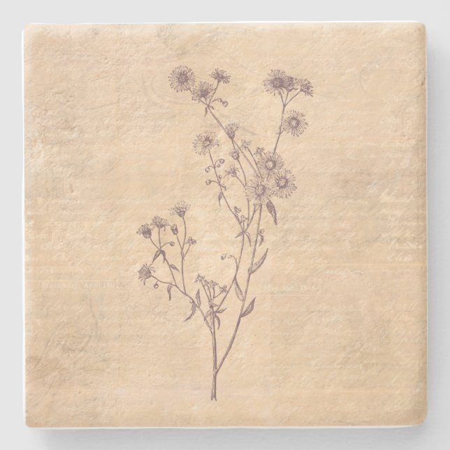 Wild Daisy Flower Wildflower Antique Script Paper Stone Coaster (Front)