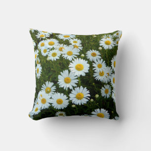Wild Daisy Pillows
