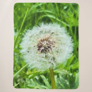 Wild Dandelion Romania Botanical Macro Photograpy Sherpa Blanket