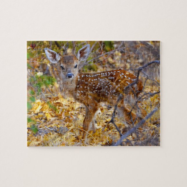 Wild Deer Big Bend Texas Jigsaw Puzzle (Horizontal)