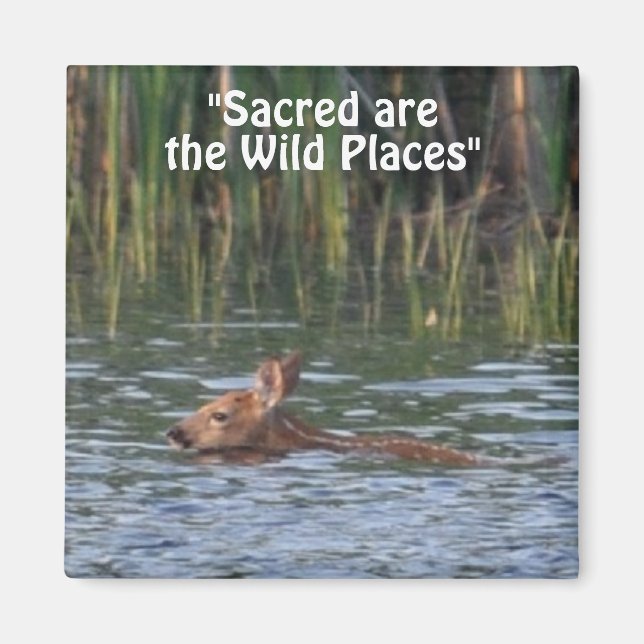 Wild Deer Fawn Wilderness Gift Magnets (Front)