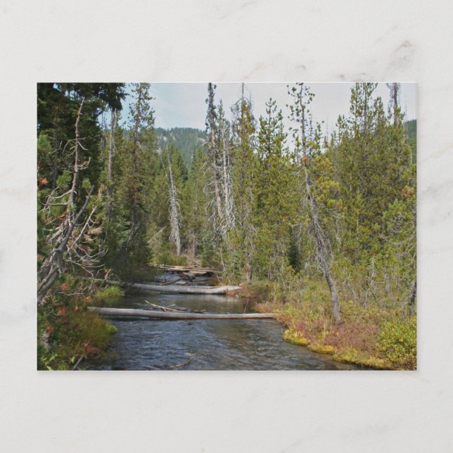 Wild Deschutes River, Oregon Postcard (Front)