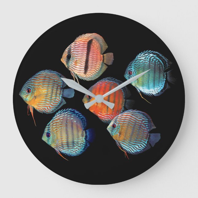 Wild Discus fish Large Clock (Front)